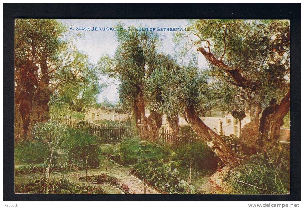 RB 891 - Early Postcard - Garden Of Gethsemane Jerusalem - Palestine Israel Holyland - Palestine