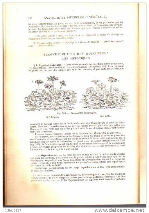 Agriculture : Anatomie Et Physiologie Vegetale- A. Pizon - 1925 - Edition G. Doin - 567 Pages - Natur