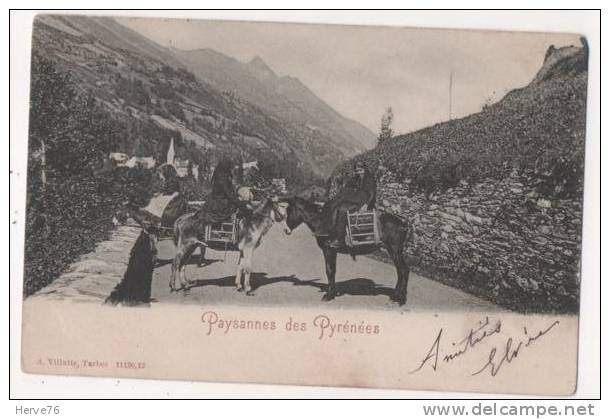 Paysannes Des  Pyrénées - âne - Autres & Non Classés