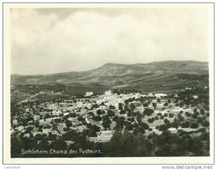 Bethlehem, Champ Des Pasteurs, Mini Photo Snap Card [11726] - Sonstige & Ohne Zuordnung