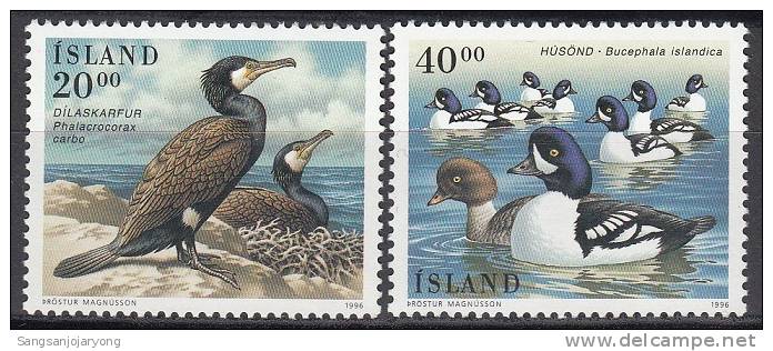 Bird (Oiseau), Iceland Sc814-5 Water Bird, Great Cormoran, Barrow's Goldeneye - Palmípedos Marinos