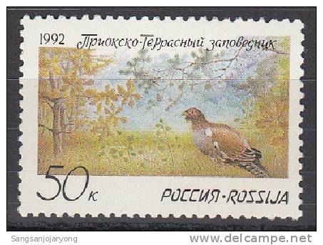 Bird (Oiseau), Russia Sc6073 Nature Protection - Gallinacées & Faisans