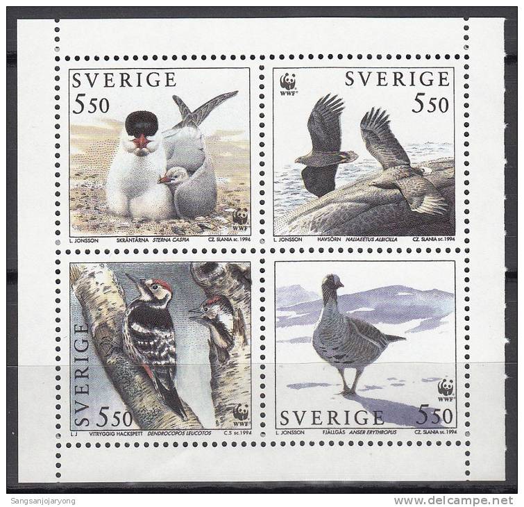 Bird (Oiseau), Sweden Sc2100a WWF, Caspian Tern, White-tailed Eagle, Woodpecker, Goose - Marine Web-footed Birds