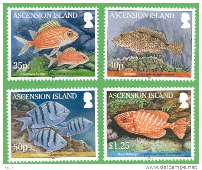 ASCENSION 2010 // Faune Marine, Poissons (Reef Fish I)  // 4v + BF NEUFS - MNH - Ascensione