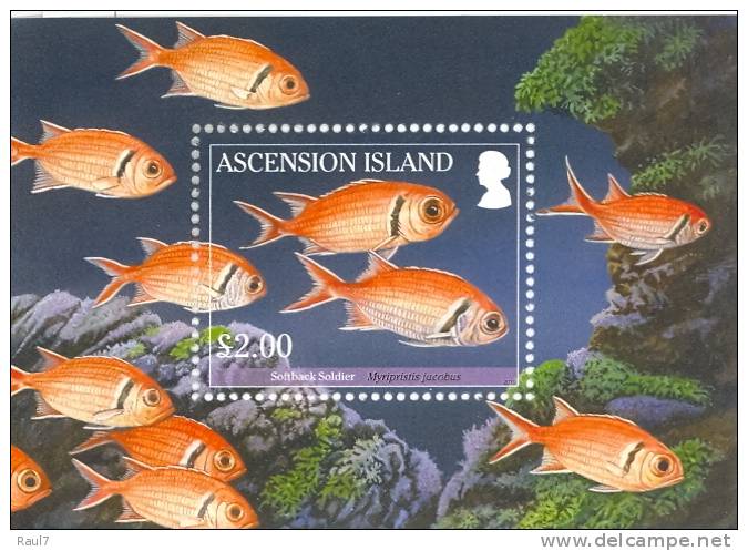 ASCENSION 2010 // Faune Marine, Poissons (Reef Fish I)  // 4v + BF NEUFS - MNH - Ascensión