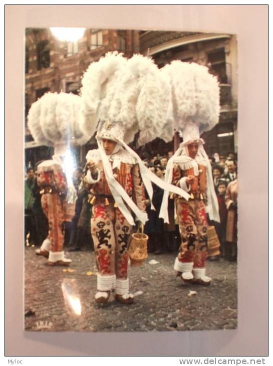 Binche. Carnaval De Binche. Gilles De Binche. Gilles En Action - Binche