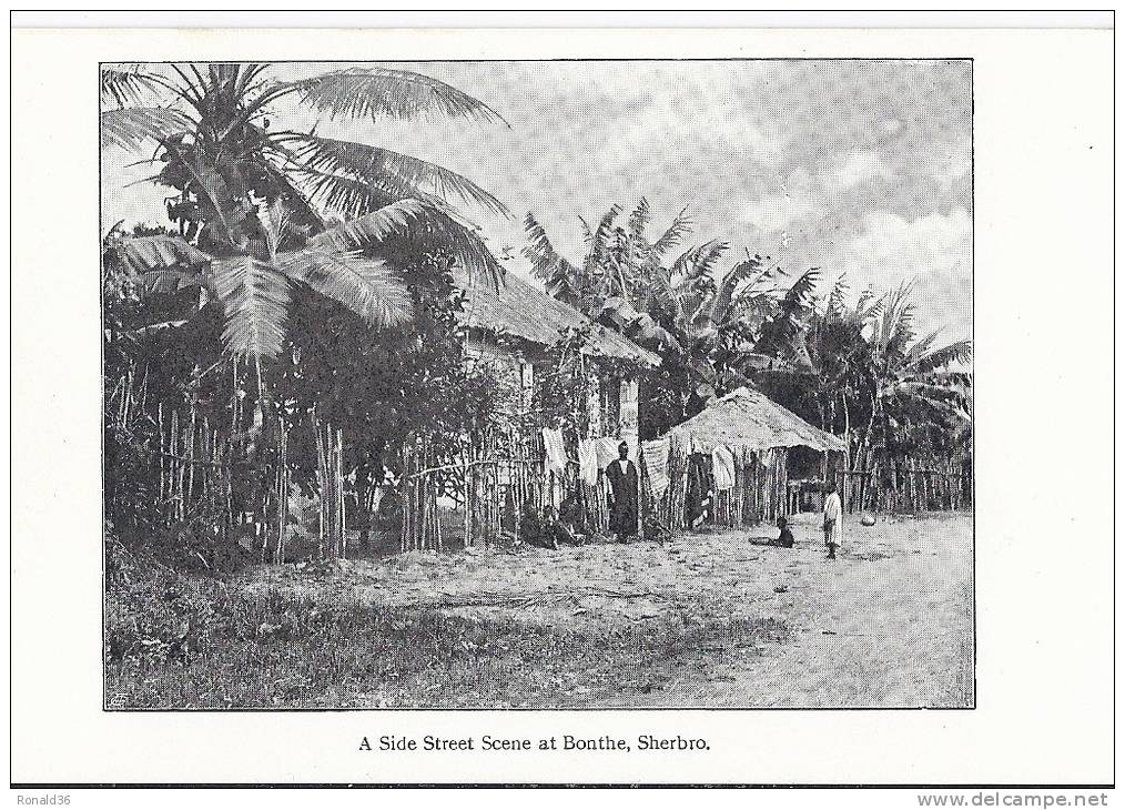 Cp Afrique : SHERBRO A Side Street Scène At Bonthe  ( Village Enfants Case Habitation   ) - Sierra Leone