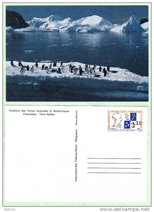 Antarctique - TAAF 1991 - Hommage à L'Amiral Max Douguet - Entier Postal N° 1-CP - 20% De La Cote - Entiers Postaux