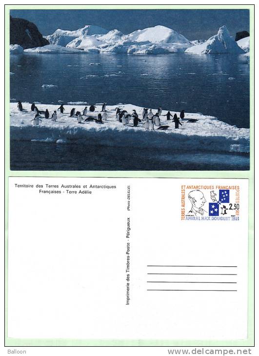 Antarctique - TAAF 1991 - Hommage à L'Amiral Max Douguet - Entier Postal N° 1-CP - 20% De La Cote - Postal Stationery