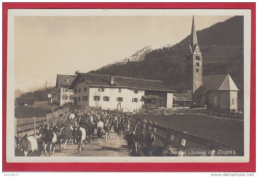 BERGÜN, AUSZUG DER ZIEGEN, GEISSEN - Bergün/Bravuogn