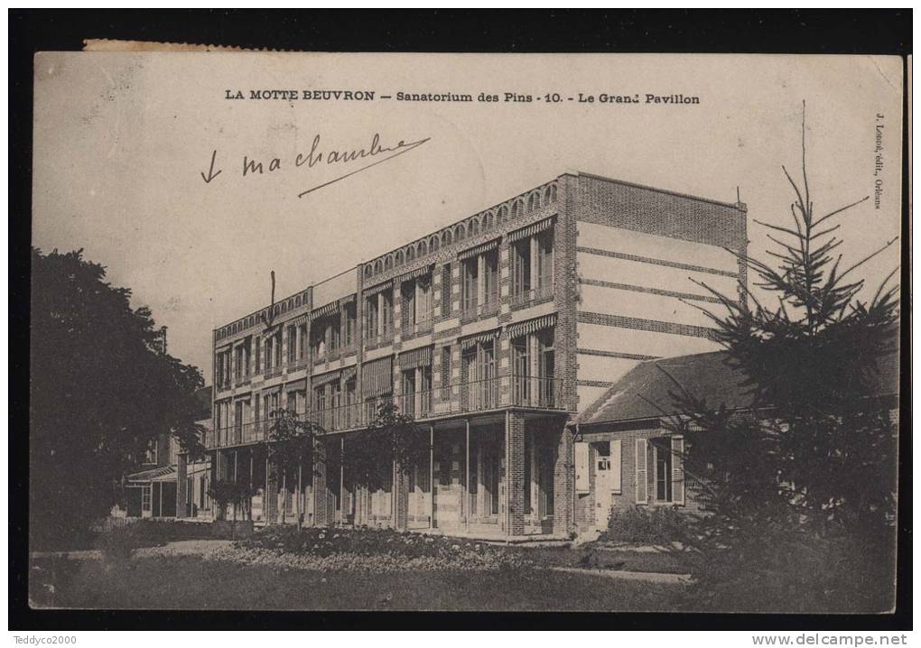 Lamotte-Beuvron Sanatorium Des Pins - Viarmes