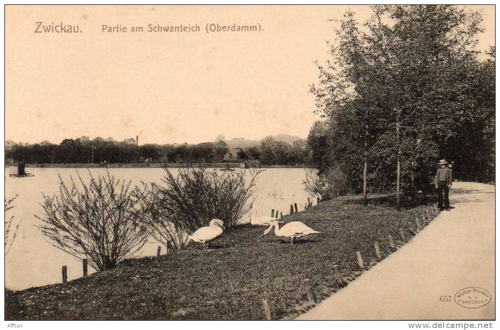 Zwickau I.S 1900 Postcard - Zwickau