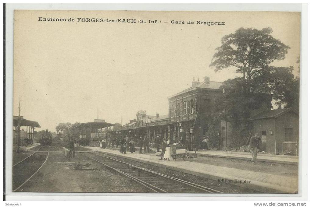 GARE DE SERQUEUX (76) - ENVIRONS DE FORGES LES EAUX - Autres & Non Classés