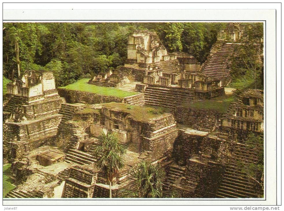CARTE FICHE     GUATEMALA       TIKAL       L ANCIENNE METROPOLE MAYA - Guatemala