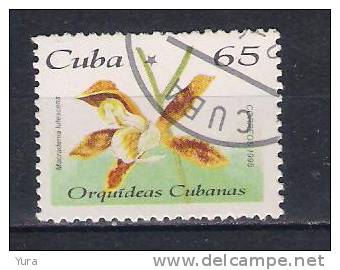 Cuba   1995  Mi Nr 3863  Orchid (a3p21) - Used Stamps