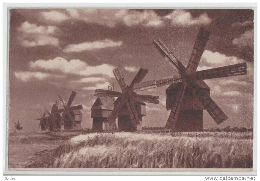 Moldova - Windmuhle In Bessarabien - Windmill - Moulin - Bessarabia - Moldavië