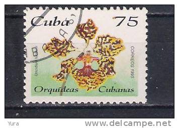 Cuba  1995  Mi Nr 3864  Orchid (a3p21) - Used Stamps