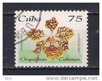 Cuba   1995  Mi Nr 3864  Orchid  (a3p21) - Orchids