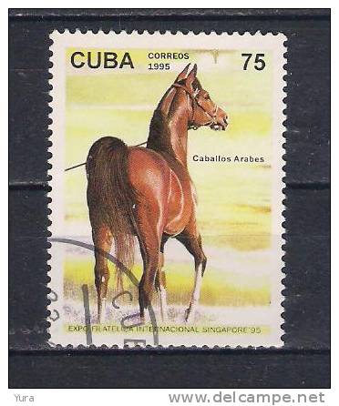 Cuba   1995  Mi Nr 3838   (a3p21) - Horses