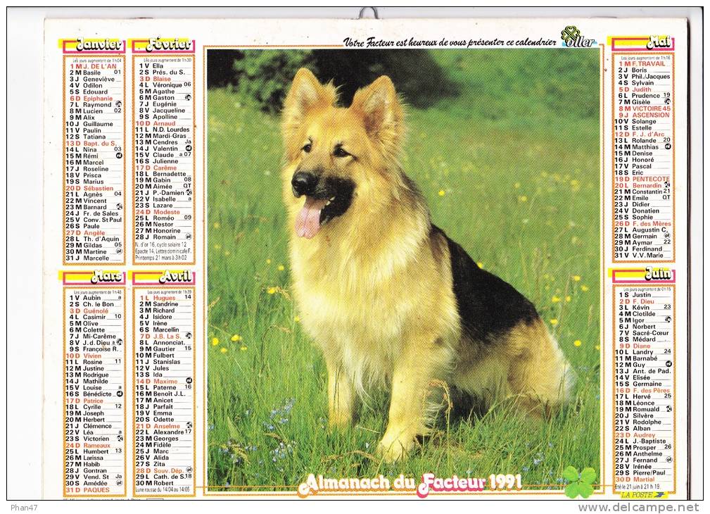 Almanach Du Facteur 1991, Berger Allemand, Chiots Beagles,  TOM Et JERRY,  Imprimeur OLLER - Groot Formaat: 1991-00