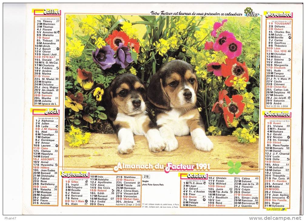 Almanach Du Facteur 1991, Berger Allemand, Chiots Beagles,  TOM Et JERRY,  Imprimeur OLLER - Big : 1991-00