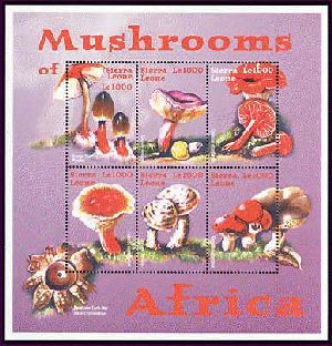 SIERRA LEONE    2356  MINT NEVER HINGED MINI SHEET OF MUSHROOMS  # M-352-2  ( - Pilze