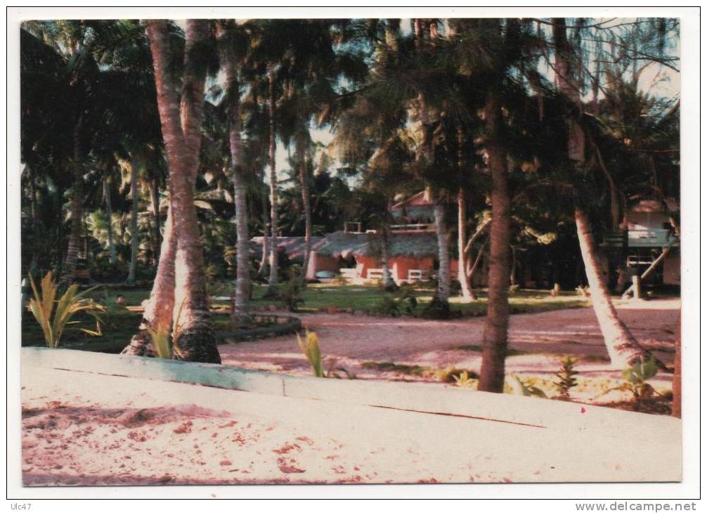 - - ISLA DE SANTO DOMINGO - Hotel TROPIC BANANA - LAS TERRENAS - Photo De S. MANDON. - Scan Verso - - Repubblica Dominicana