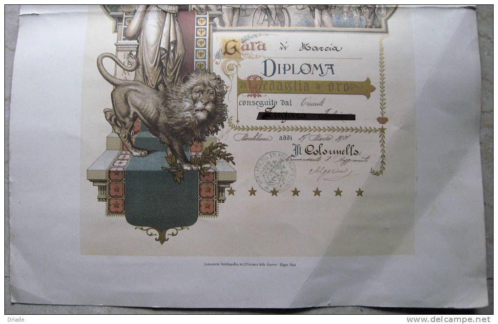 FOTOLITOGRAFIA DIPLOMA MEDAGLIA D´ORO REGIO ESERCITO ITALIANO GARA DI MARCIA ANNO 1901 - Diplômes & Bulletins Scolaires