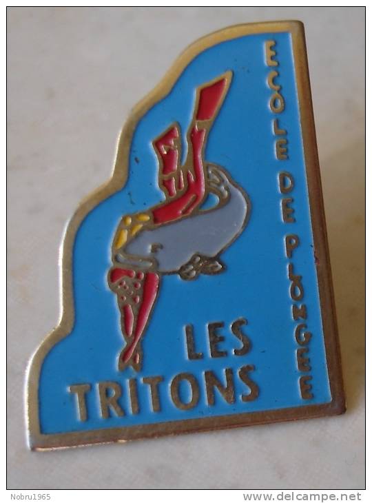 Pin´s Plongée Sous Marine Diving Scuba école De Plongée Les Tritons Avec Dauphin - Duiken