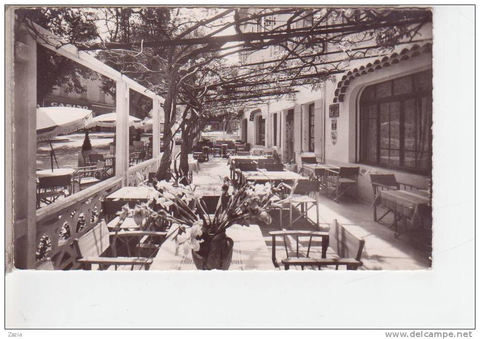 84.059/ MALAUCENE - Hotel Le Ventoux Cpsm - Malaucene