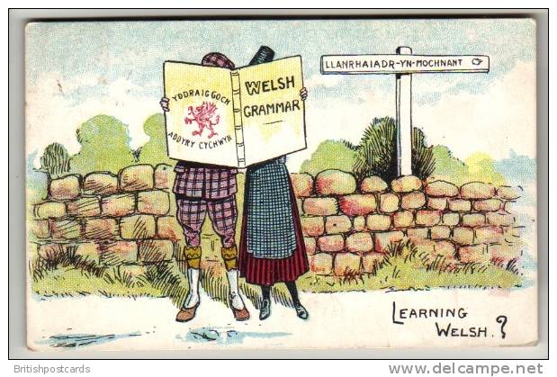 Comic - Learning Welsh - Postcard 1905 - Humour