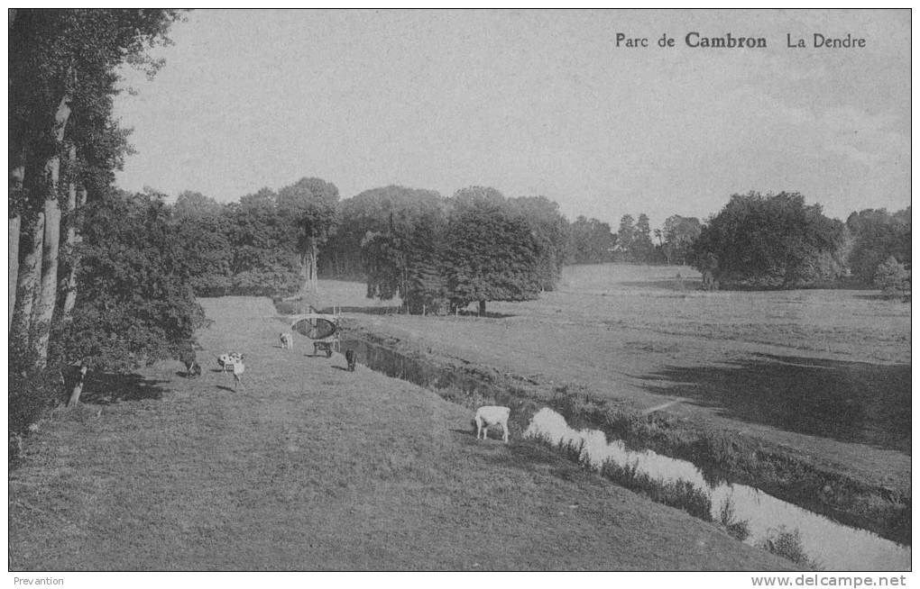 Parc De CAMBRON -  La Dendre - Superbe Carte  Animée - Lens