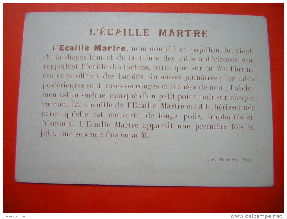 CHROMO  / IMAGE PAPILLON  L´ECAILLE MARTRE  CHELONIA CAJA   LIBR . HACHETTE  PARIS - Other & Unclassified