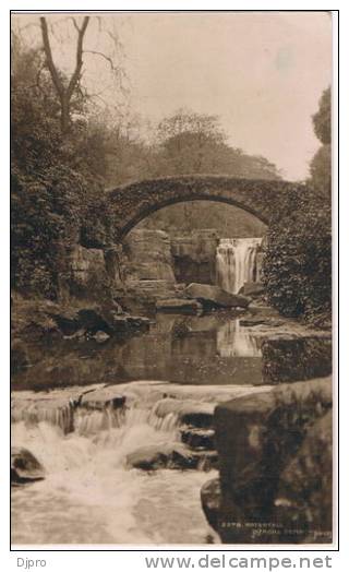 Jesmond Dene  Waterfall 2276 - Newcastle-upon-Tyne