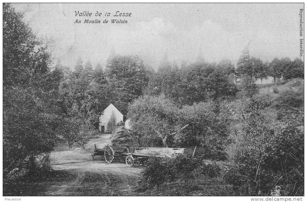 Vallée De La Lesse - Au Moulin De WALZIN - Belle Carte Circulée 1910 - Viroinval