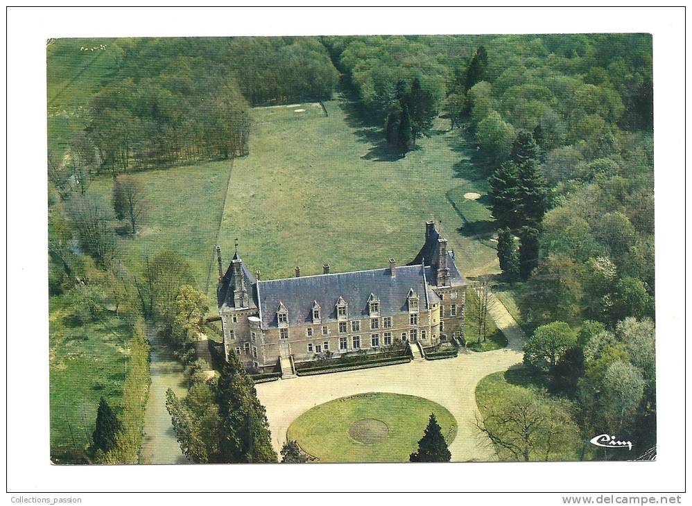 Cp, 58, Saint-Amand-en-Puisaye, Le Château - Saint-Amand-en-Puisaye