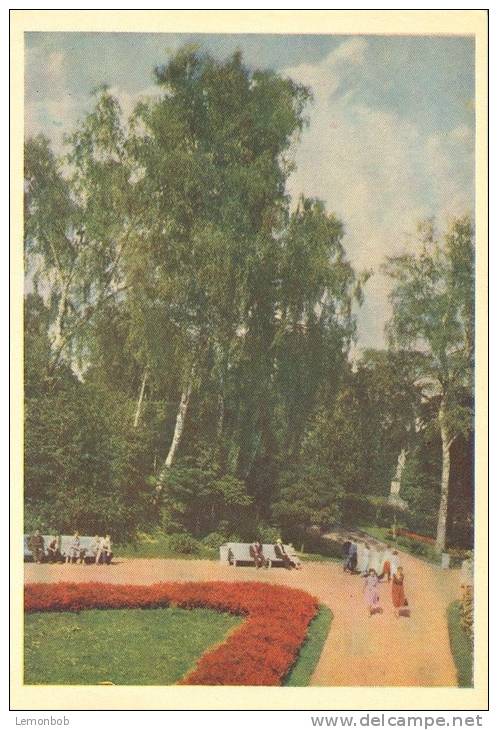 Ukraine, Lvov, Nook In Stry Park, 1962 Unused Postcard [11743] - Ukraine