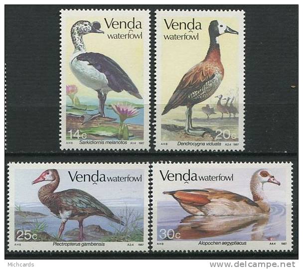 VENDA 1987 - Oiseau Aquatique Canard - Neuf Sans Charniere (Yvert 150/53) - Venda