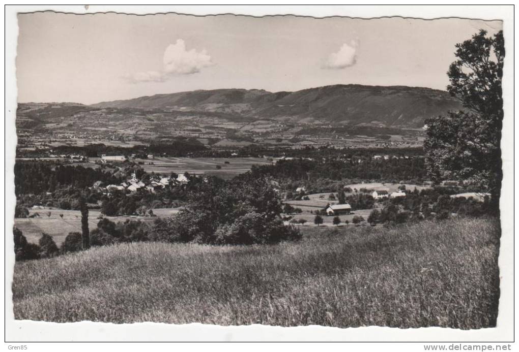 CPSM BONNE SUR MENOGE, VUE GENERALE, LE SALEVE, Format 9 Cm Sur 14 Cm Environ, HAUTE SAVOIE 74 - Bonne