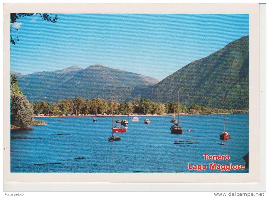 (CH711) TENERO. LAGO MAGGIORE - Tenero-Contra