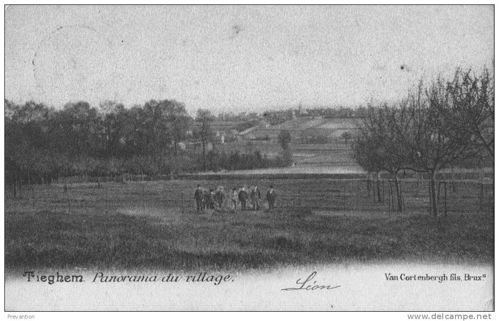 TIEGHEM - Panorama Du Village - Carte Colorée, Animée Et Circulée 1905 - Anzegem