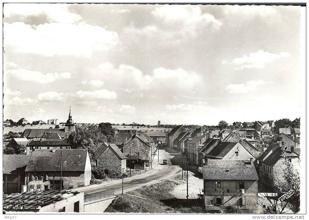 57 - Moselle - WELFERDING - Vue  Partielle - Dentelée -  Format   10,5  X  15 - Volmunster