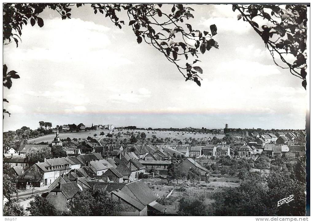 57 - Moselle - WELFERDING - Vue  Générale - Dentelée -  Format   10,5  X  14,8 - Volmunster