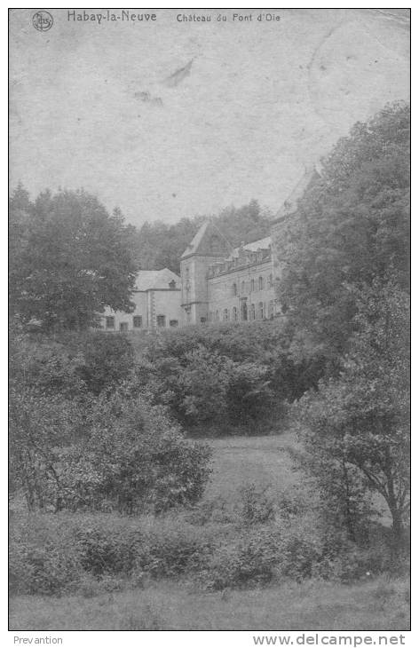 HABAY La NEUVE - Château Du Pont D´Oie.- Belle Carte Circulée 1920 - Habay