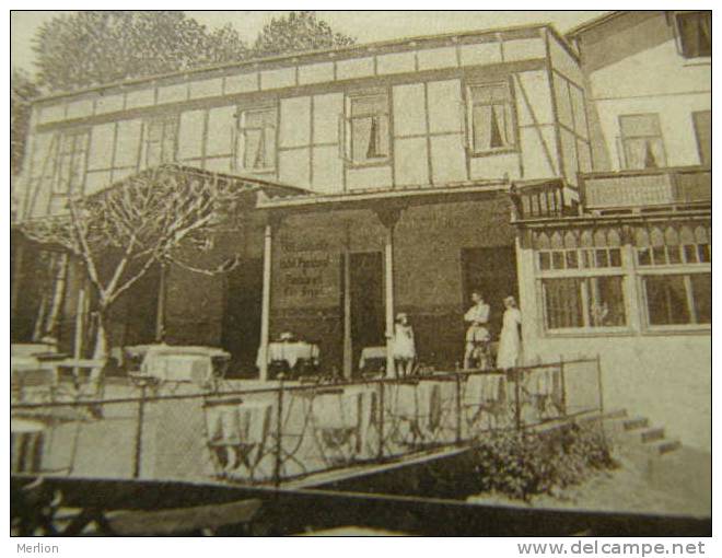 Waldhalle Am Schmalsee - MÖLLN - Besitzer C. Kappel  Restaurant  Ca 1910-  D81263 - Moelln