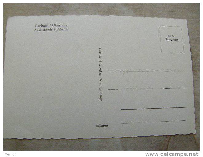 Lerbach Harz Kat. Osterode Am Harz - Cows Vaches      D81279 - Osterode