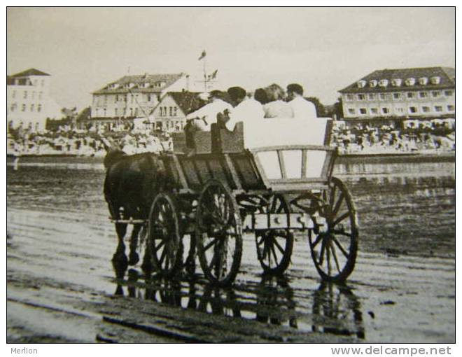 Cuxhaven Duhnen - Children - Horses  Coach  Carriage  RPPC    D81280 - Cuxhaven