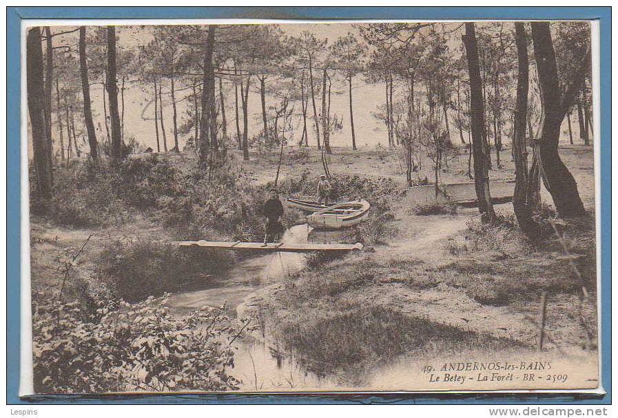 33 - ANDERNOS --  Le Betey - La Forêt - Andernos-les-Bains