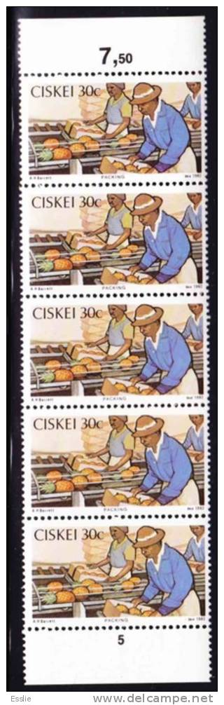 Ciskei - 1982 - Pineapple Industry - Highest Value Strip Of 5 - Ciskei