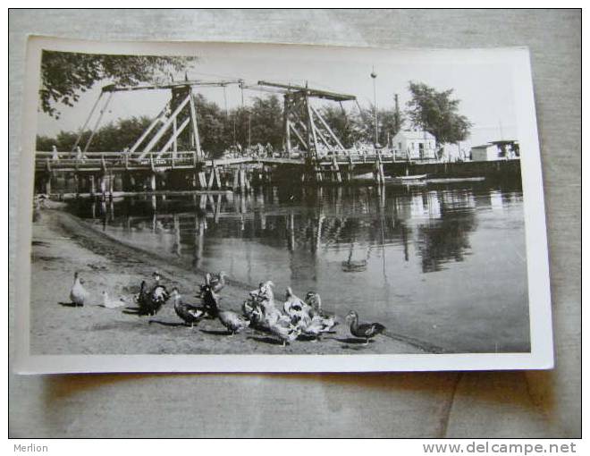 Greifswald  RPPC  FOTO-AK   D81404 - Greifswald